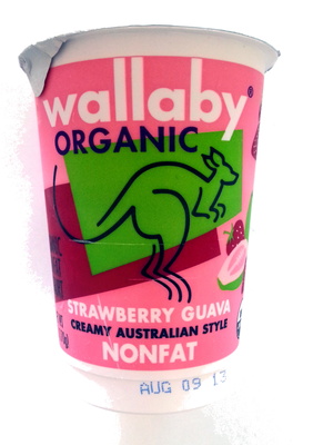 Organic nonfat yogurt