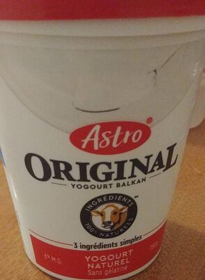 Original Balkan yogurt